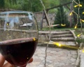 Радевичи: отзыв от Анна Елизарова