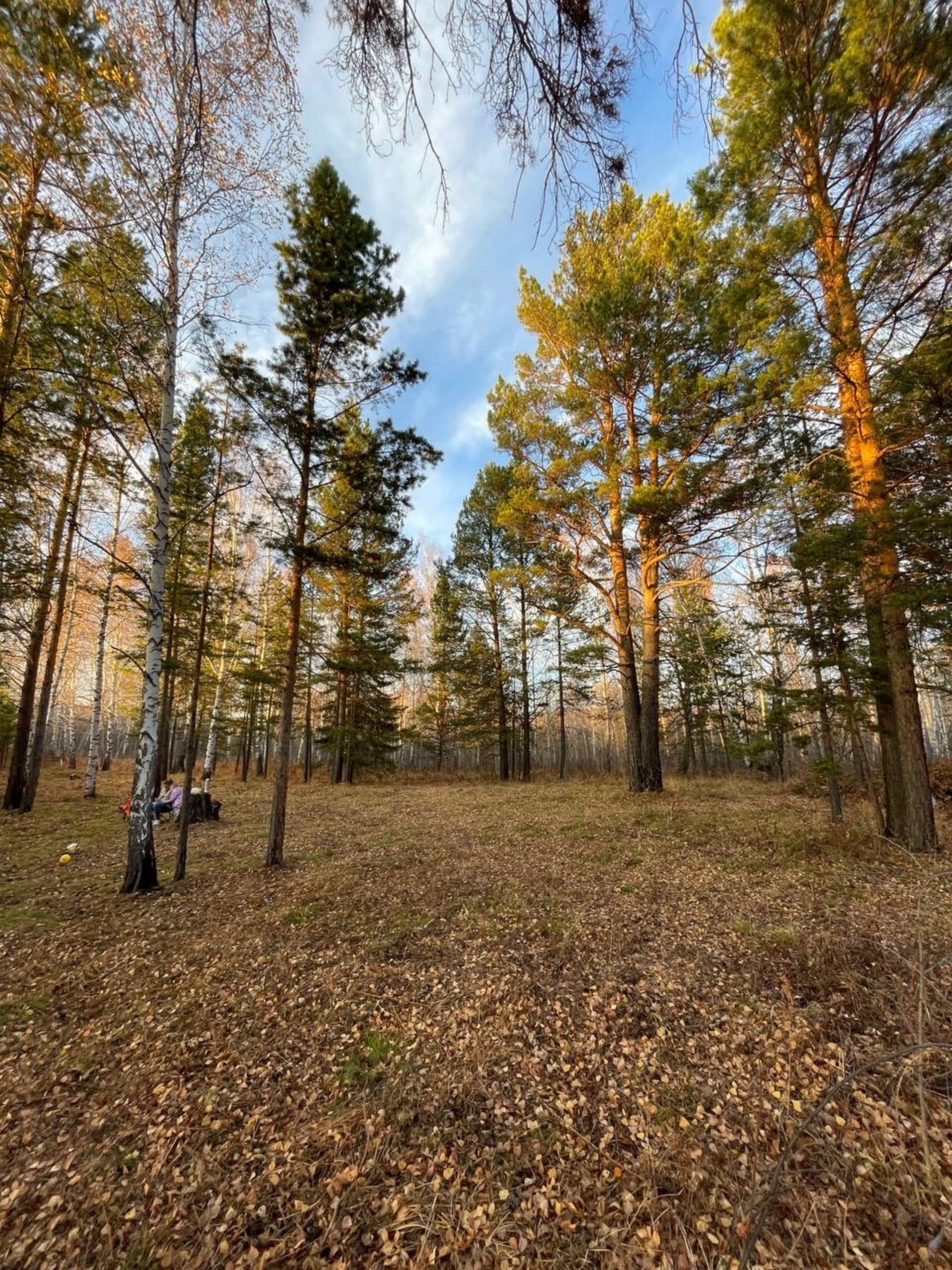 Новые Раскаты, компания по продаже земельных участков, Капитанская улица,  10, Красноярск — 2ГИС