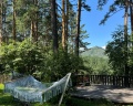 Altai star: отзыв от Anastasiya M.