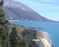 Garden Resort: отзыв от Городской житель