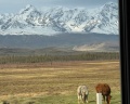 Altay Life этно: отзыв от Helena Aneleh