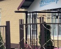 Авиатор: отзыв от Тата S