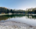 Романов Лес: отзыв от Анастасия Чернова