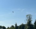 4 сезона: отзыв от Александра Мураатова
