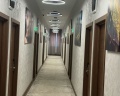 Жасмин: отзыв от Александр Миронов