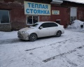 Медведь: отзыв от Александр Архипов