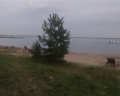 Кумкуль Парк: отзыв от Юля Мурсеева