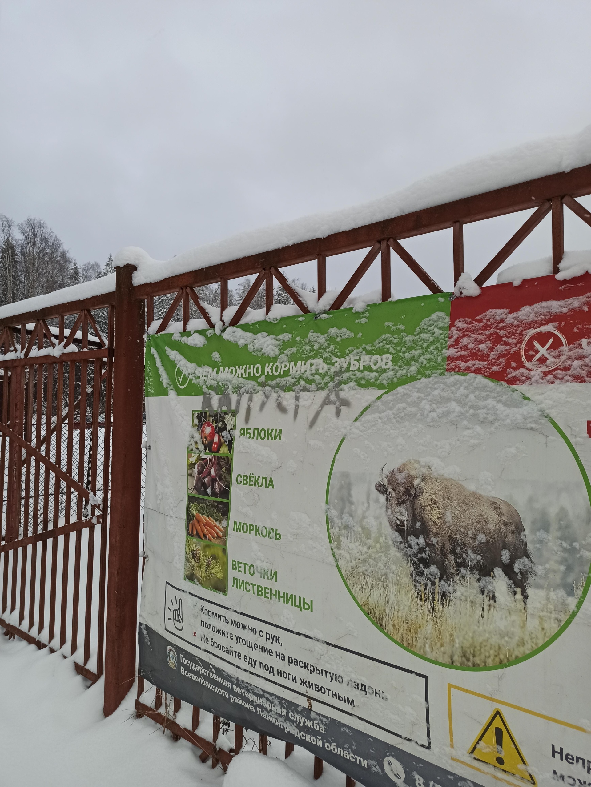 Зубровник, парк семейного отдыха и экотуризма, Зубровник, 1, городской пос.  Токсово — 2ГИС