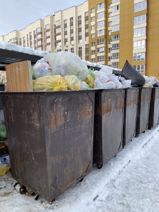 Барнаул фото солнечная поляна