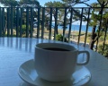 PortoRitsa: отзыв от Svetlana