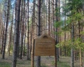 Ново-Окатово: отзыв от Анна Буянова