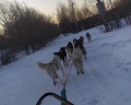 Пески: отзыв от Дарья Журавлева