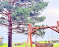 Аракуль: отзыв от Юлия Пикунова