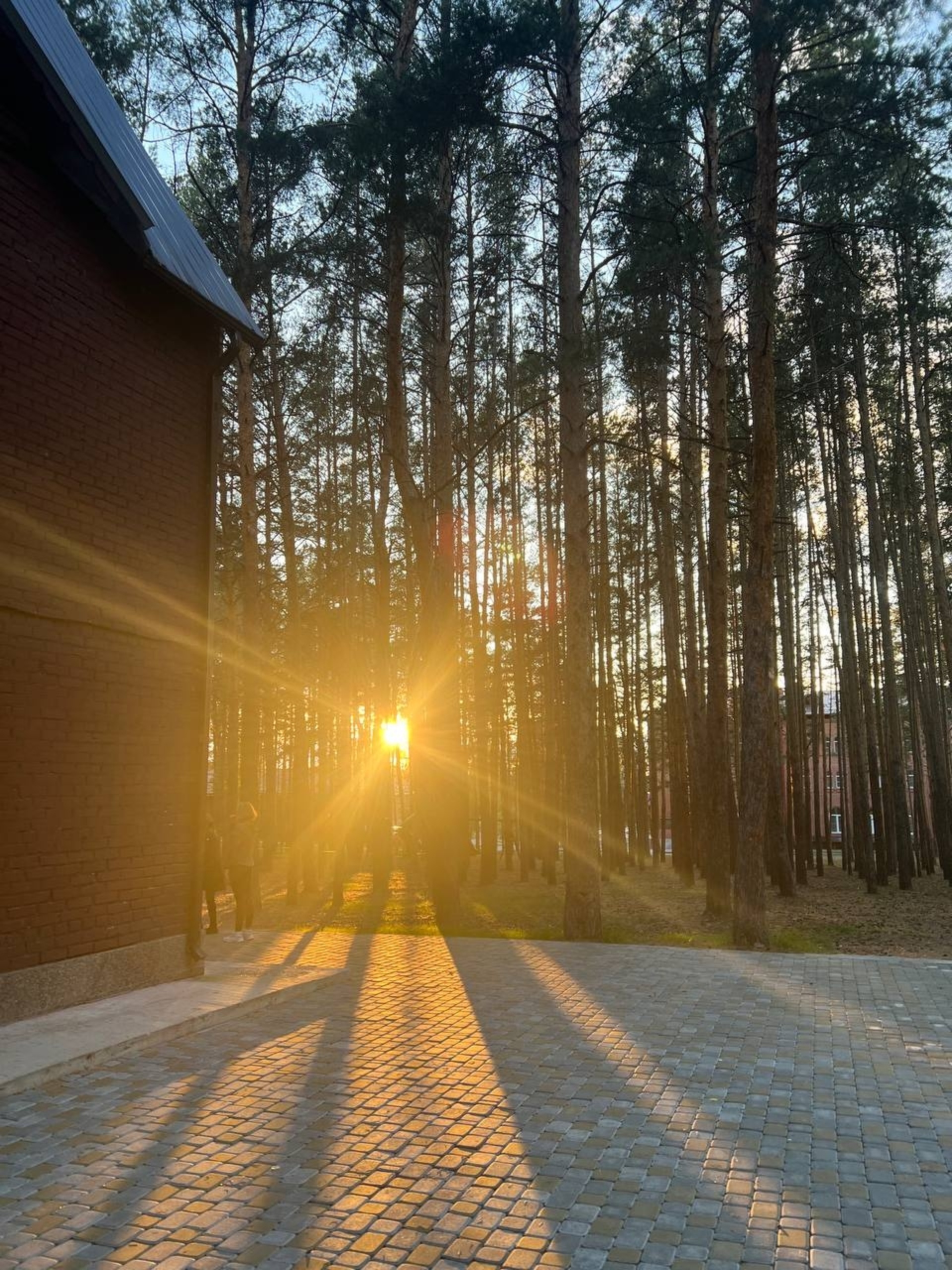 Лесная Застава, загородный оздоровительный комплекс, Солнечная поляна, 1в,  д. Ключевка — 2ГИС