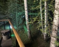 Kedr camp: отзыв от Эльмира Кабирова