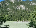 Pinewood resort&SPA: отзыв от Анастасия Говдырь