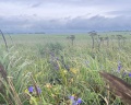 Между небом и морем: отзыв от Bo In
