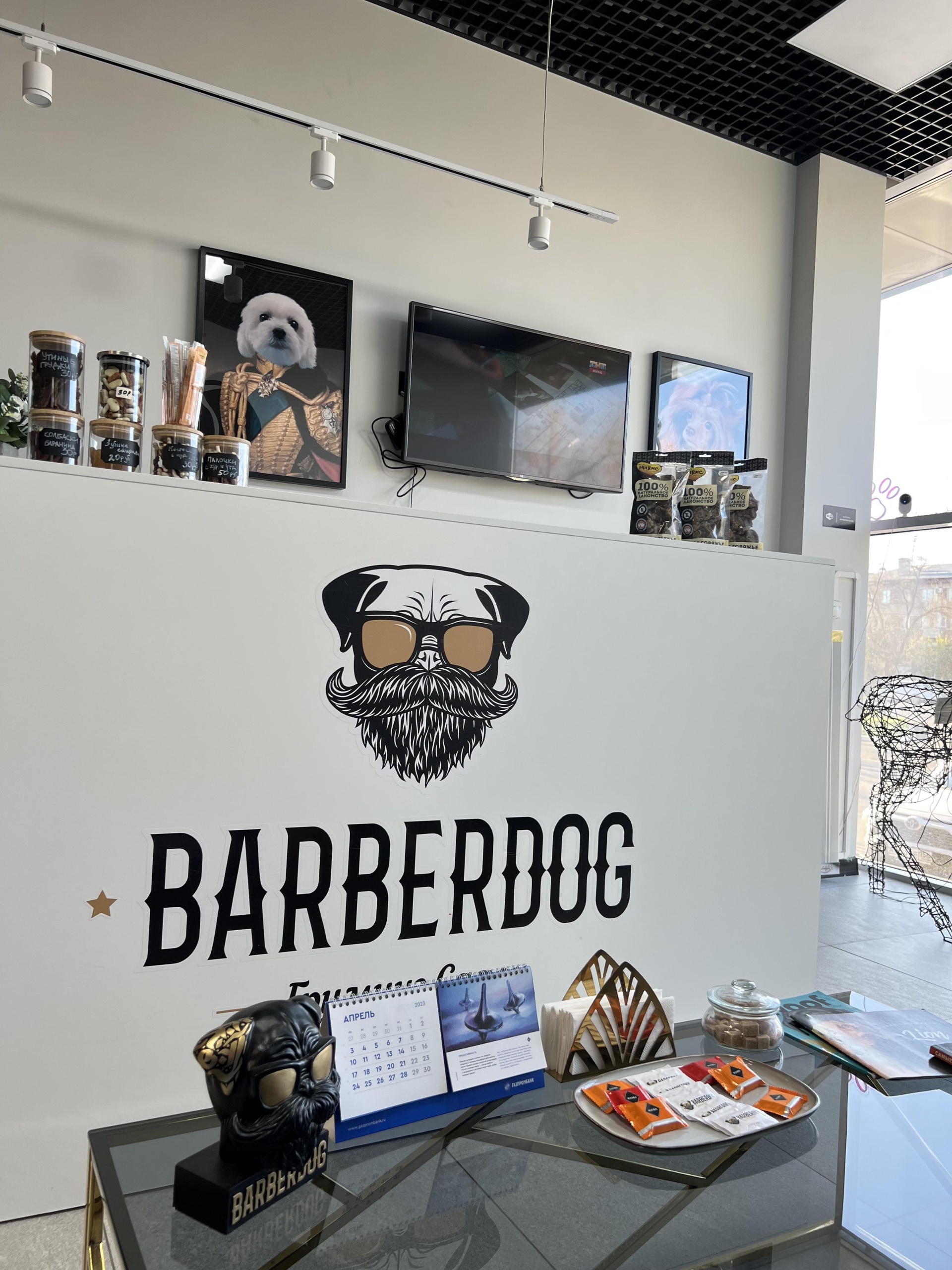 Barberdog, груминг-салон, проспект Гагарина, 7/1, Оренбург — 2ГИС