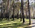 4 сезона: отзыв от Борис Моисеев