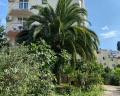 Elit house: отзыв от Алена Евгеньевна