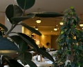 Funf Luxury Resort&SPA Anapa Miracleon: отзыв от Анна Алаторцева