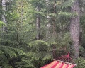 Soulcamp: отзыв от Анастасия Кириченко