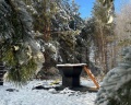 A-Frame в сосновом лесу: отзыв от Сергей Кипуров