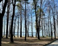 Курорт Увильды: отзыв от Ольга Бородина (Акатьева)