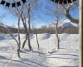 Kamchatka forest lodge: отзыв от Tatyana Klimova