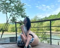 Ниагара: отзыв от Моника Джамбурия