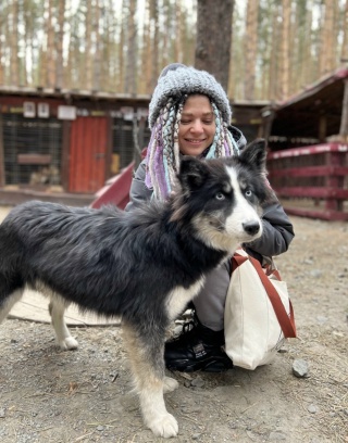 Хаски город абзаково