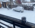 Вереск: отзыв от Екатерина Ложкина