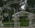 Синегорские минеральные воды: отзыв от Violetta Karlova