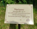 Митино: отзыв от Бандитка Бандиткина