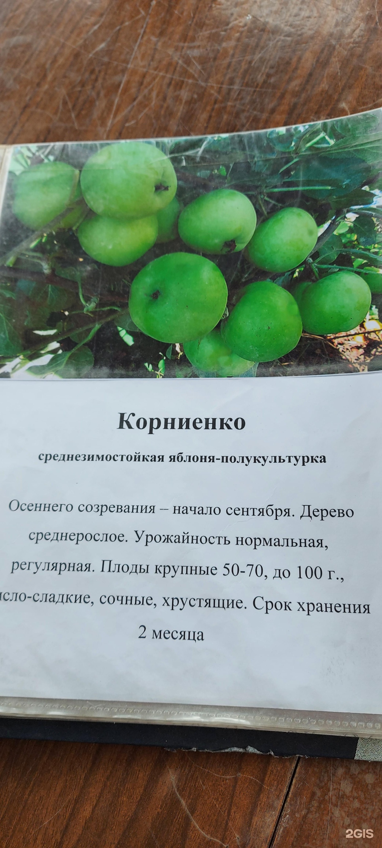 Плодово-ягодный питомник, Приморское лесничество (36-й квартал), 1, Иркутск  — 2ГИС