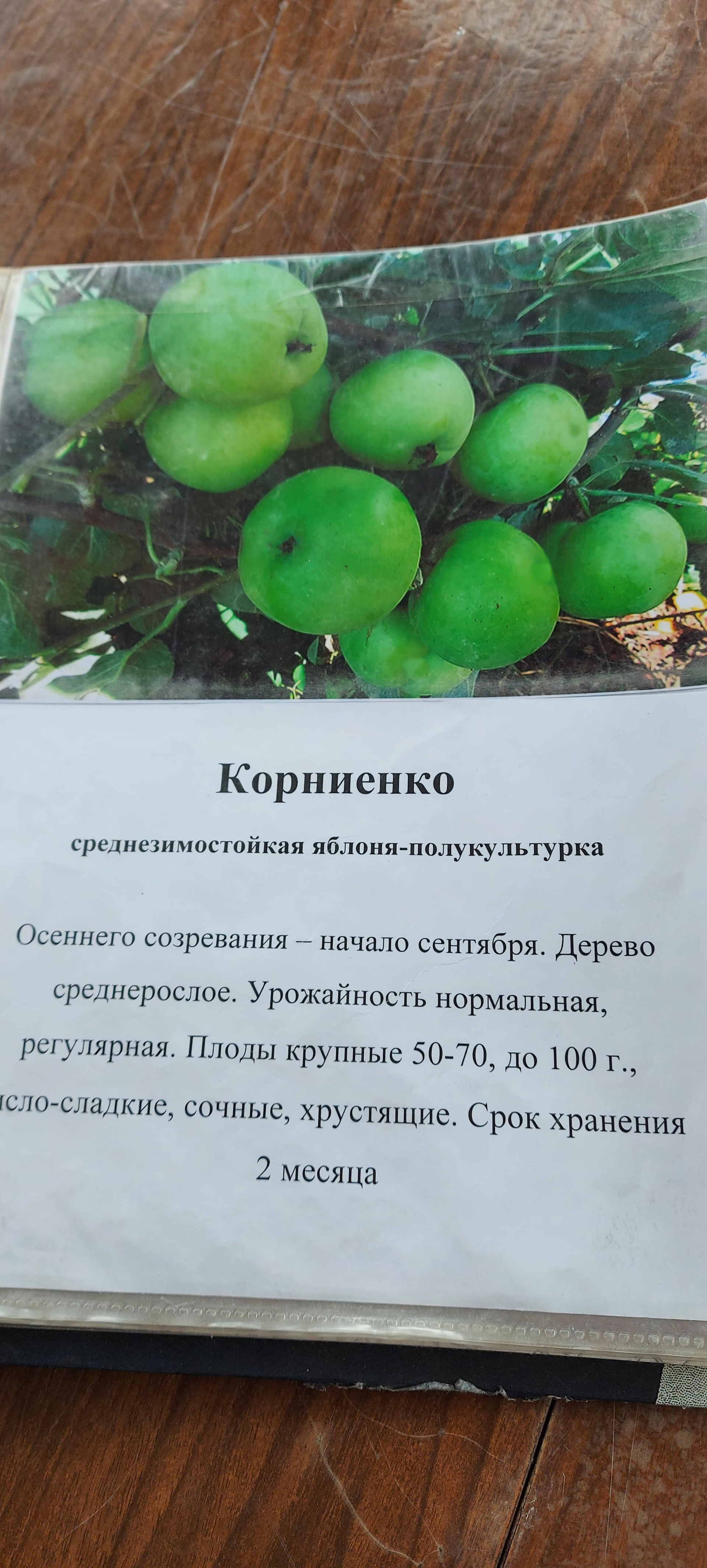 Плодово-ягодный питомник, Приморское лесничество (36-й квартал), 1, Иркутск  — 2ГИС