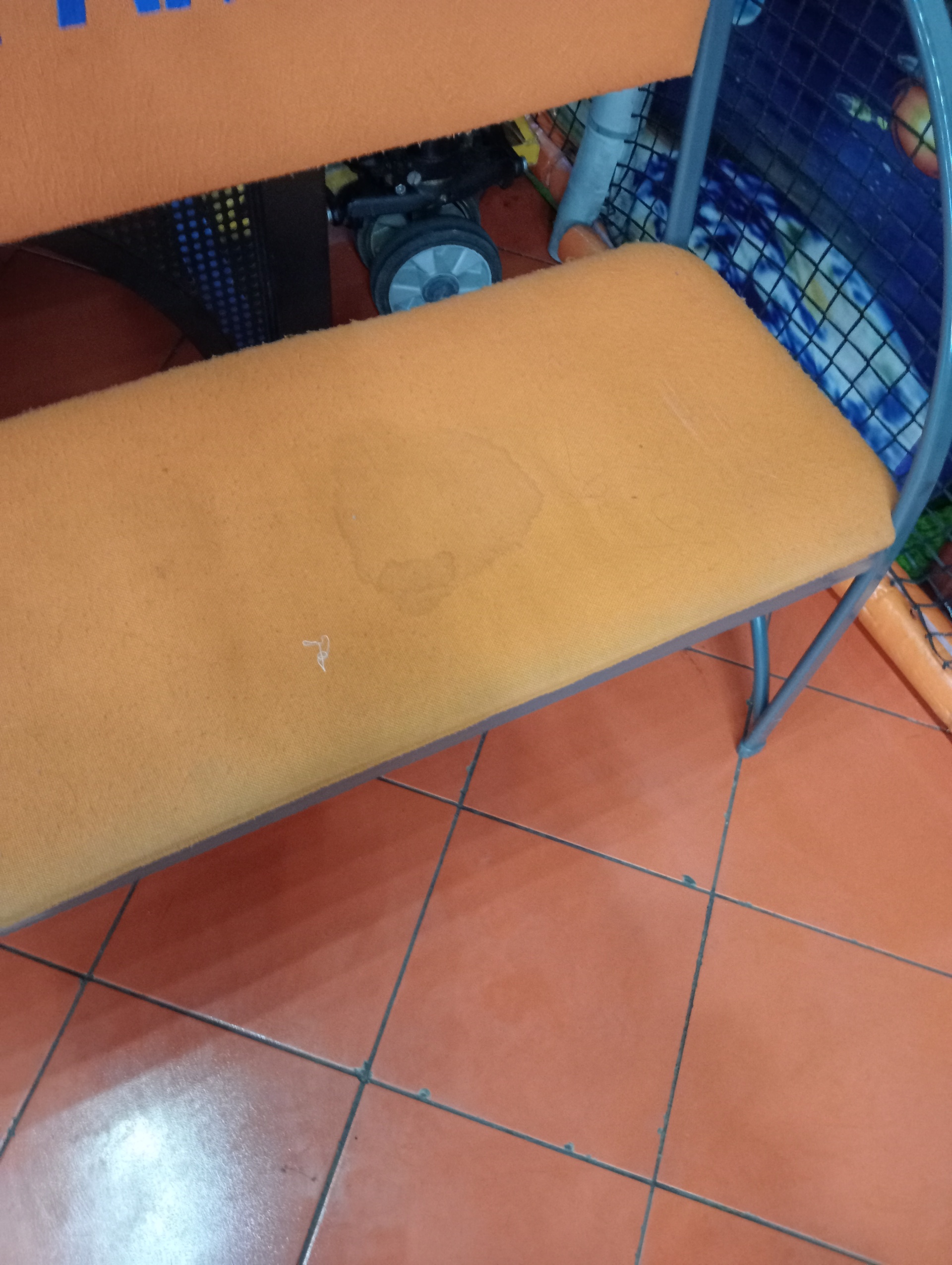 бір жұп шырынды шабдалы алхоры