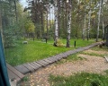 Nature village: отзыв от Карина Непеина