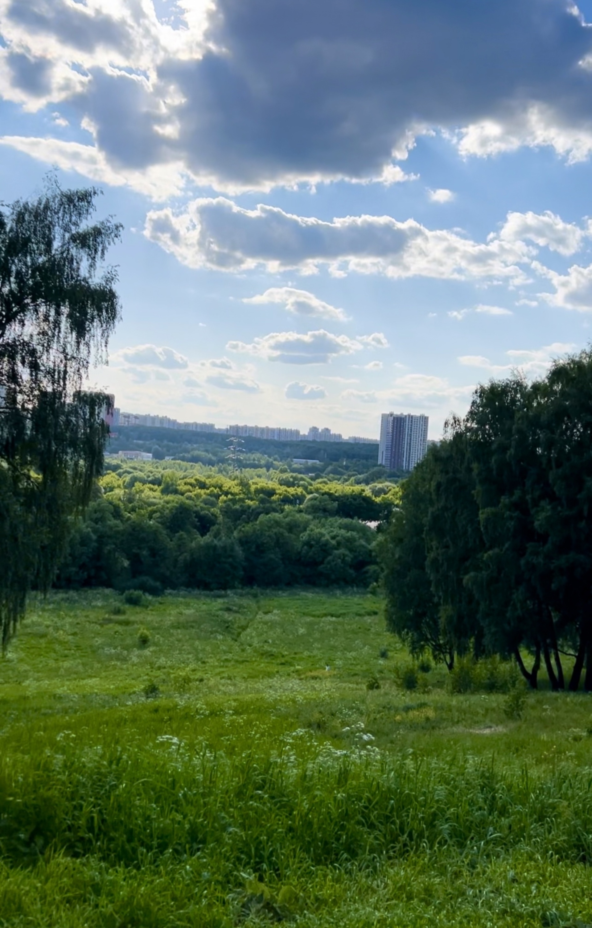 Усадьба Строгановых в Братцево, дом отдыха, Парк Братцево, Светлогорский  проезд, 13, Москва — 2ГИС