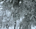 Территория: отзыв от Сергей Сунцов