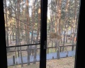Шышки: отзыв от Наталья Бункевич