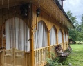 Лебедь: отзыв от Людмила Жителева