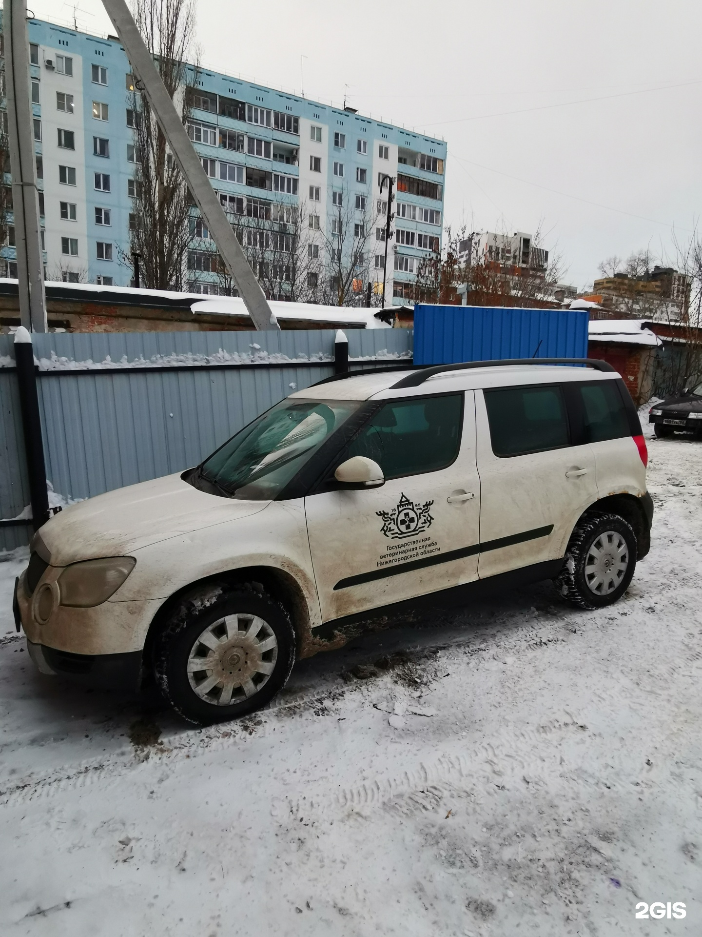 Государственное ветеринарное управление городского округа, ​Государственная  ветеринарная клиника Приокского района, Углова, 1Б, Нижний Новгород — 2ГИС