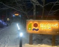 Золотой пляж: отзыв от Alina Vl.