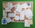 Wiki Hostels: отзыв от alenka_stranger