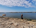 Медуза: отзыв от Александра Корепанова