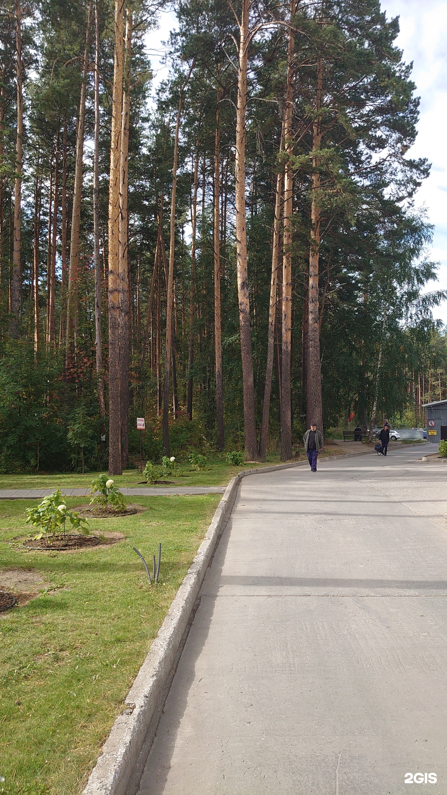 Мешалкина, пансионат, Речкуновская, 17, Новосибирск — 2ГИС