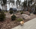 Marja Villas&SPA: отзыв от Марина Костина