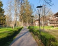 Millwood: отзыв от Алексей С