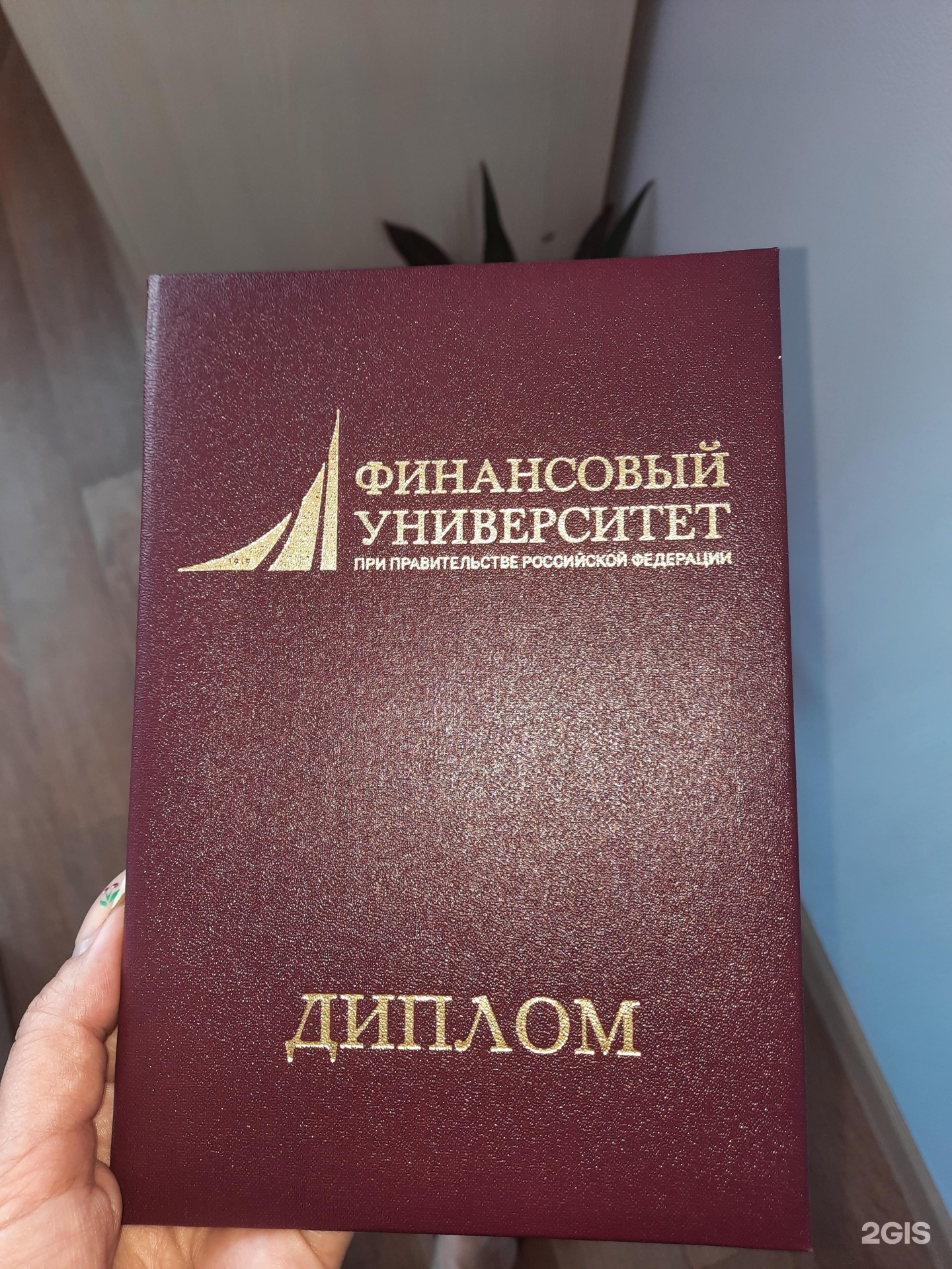 Финансовый университет при Правительстве РФ, Омский филиал, Партизанская,  6, Омск — 2ГИС